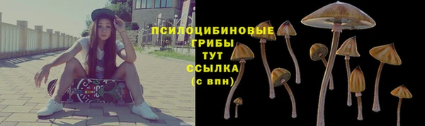 стаф Володарск