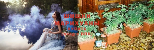 стаф Володарск