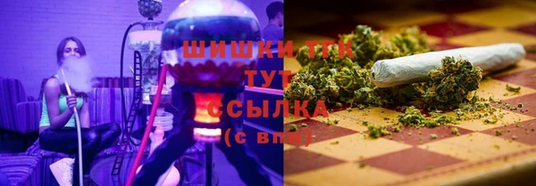 стаф Володарск