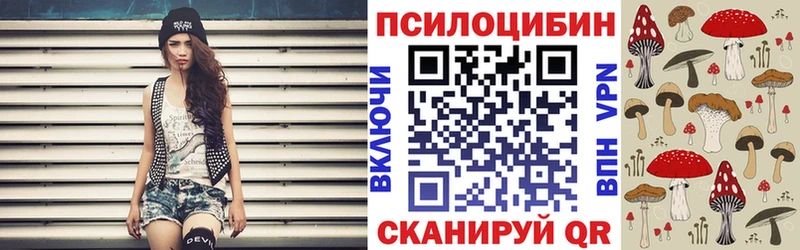 купить наркотики сайты  Уссурийск  mega ТОР  Псилоцибиновые грибы Magic Shrooms 